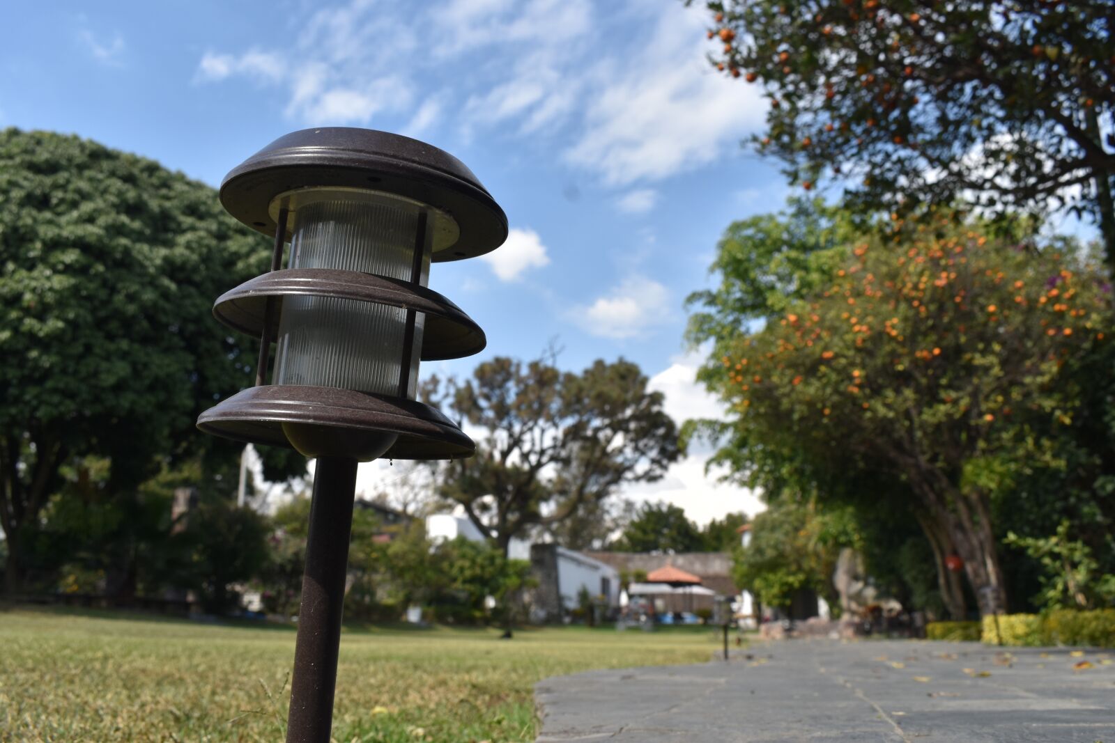 Nikon D5600 sample photo. Garden, sky, green photography