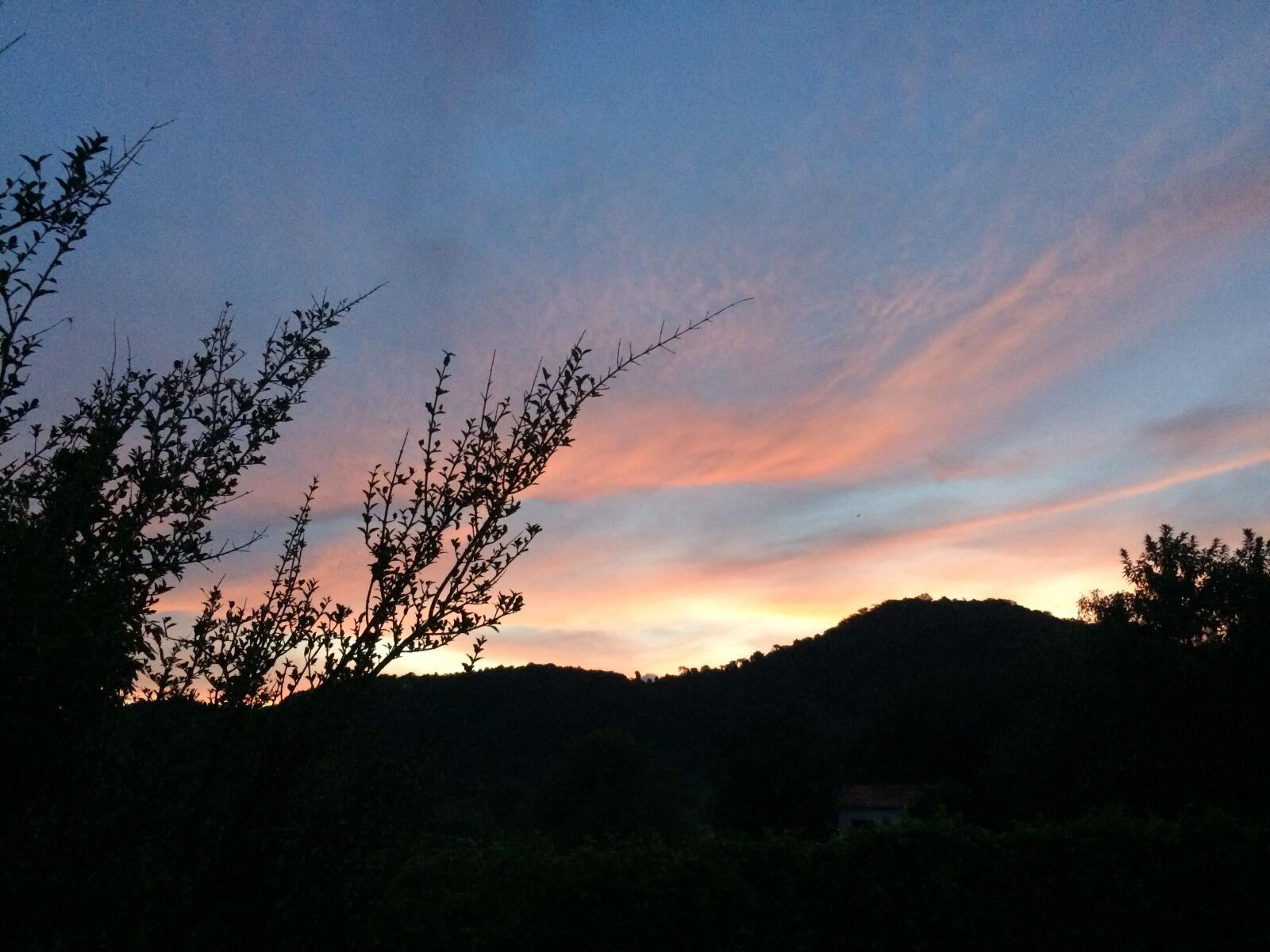 iPhone 5s back camera 4.15mm f/2.2 sample photo. Sunset, forest, tropical photography