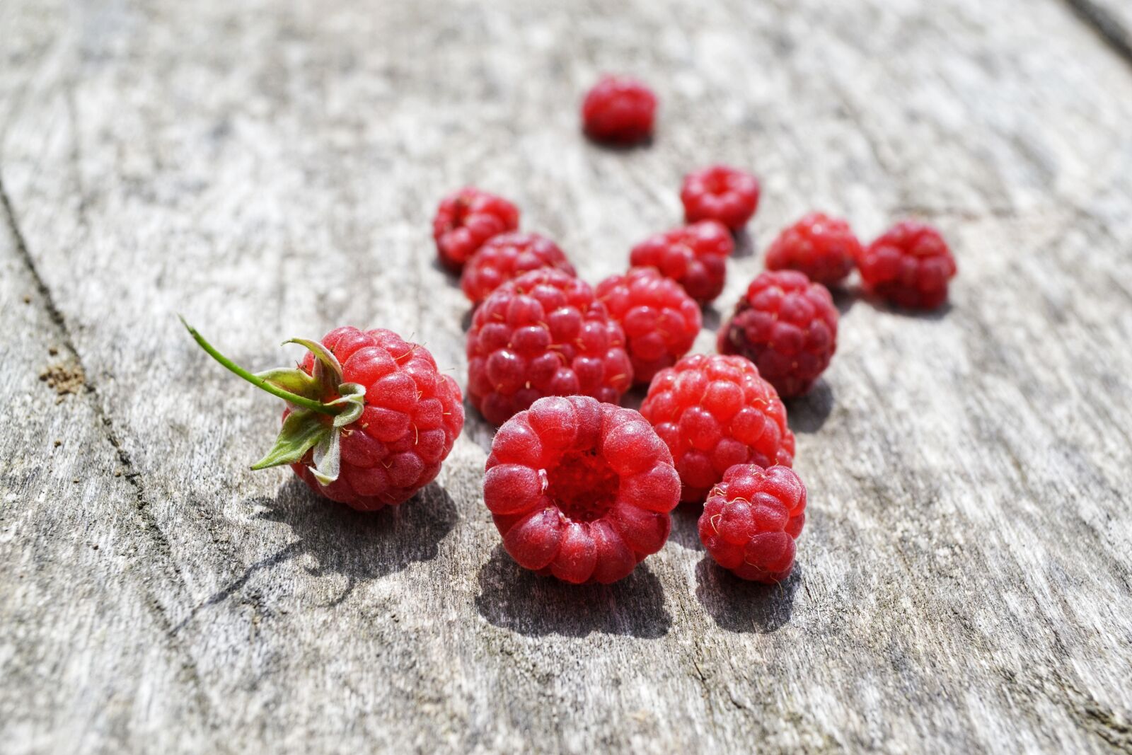 Nikon D3100 sample photo. Raspberry, pink, wood photography