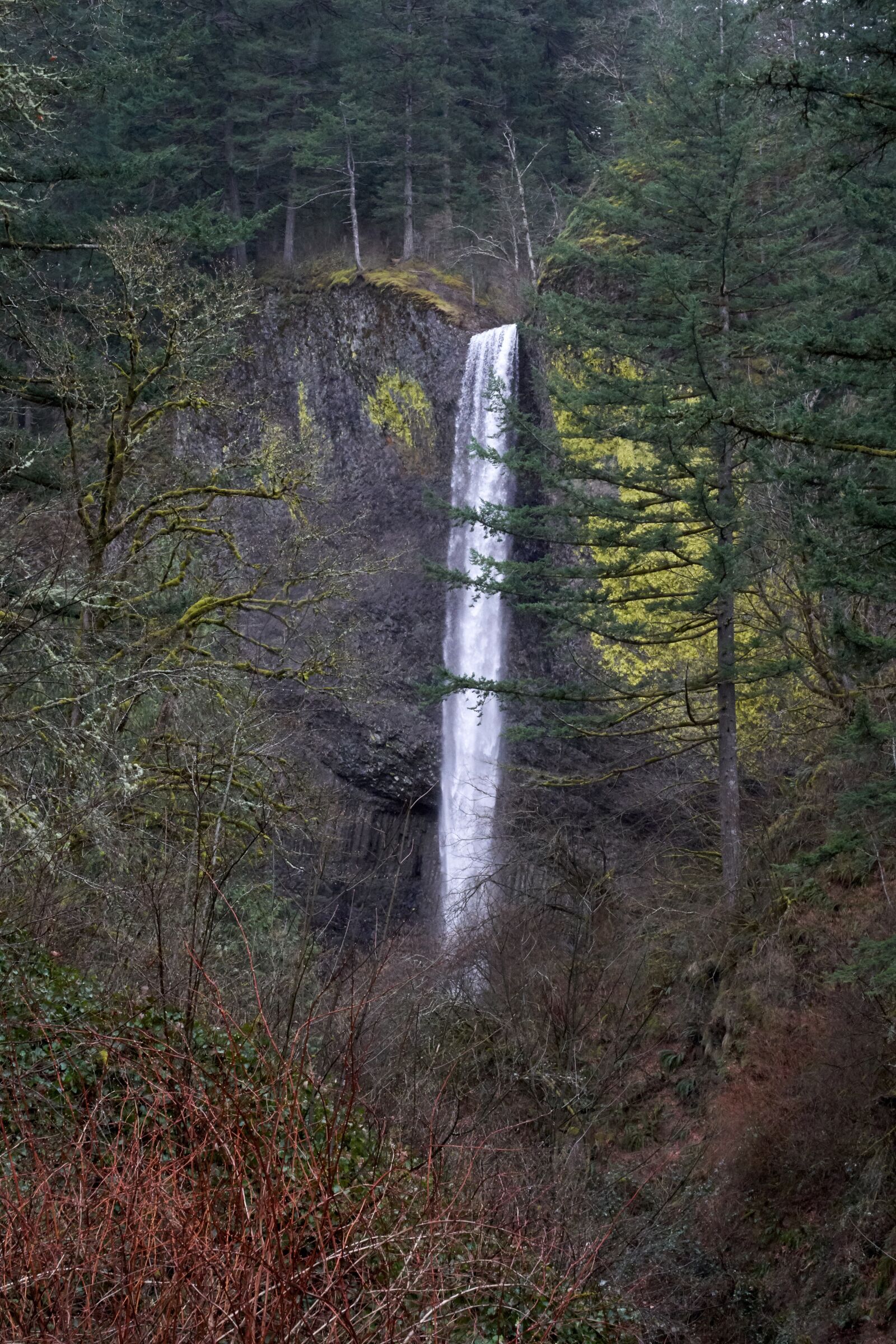Zeiss Vario-Sonnar T* 24-70 mm F2.8 ZA SSM (SAL2470Z) sample photo. Waterfall, oregon, nature photography