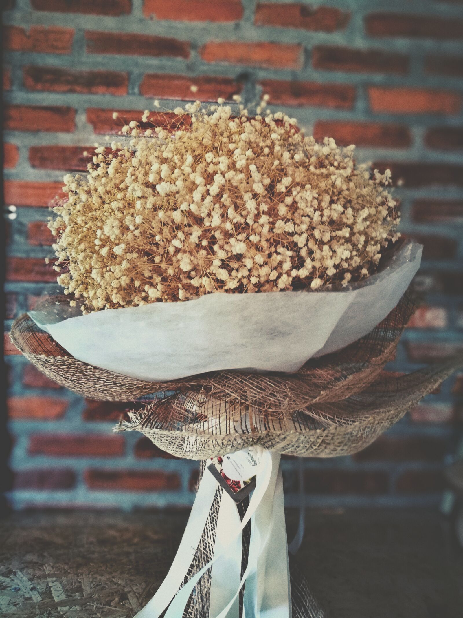 HUAWEI P9 sample photo. Flower, lovely, love photography