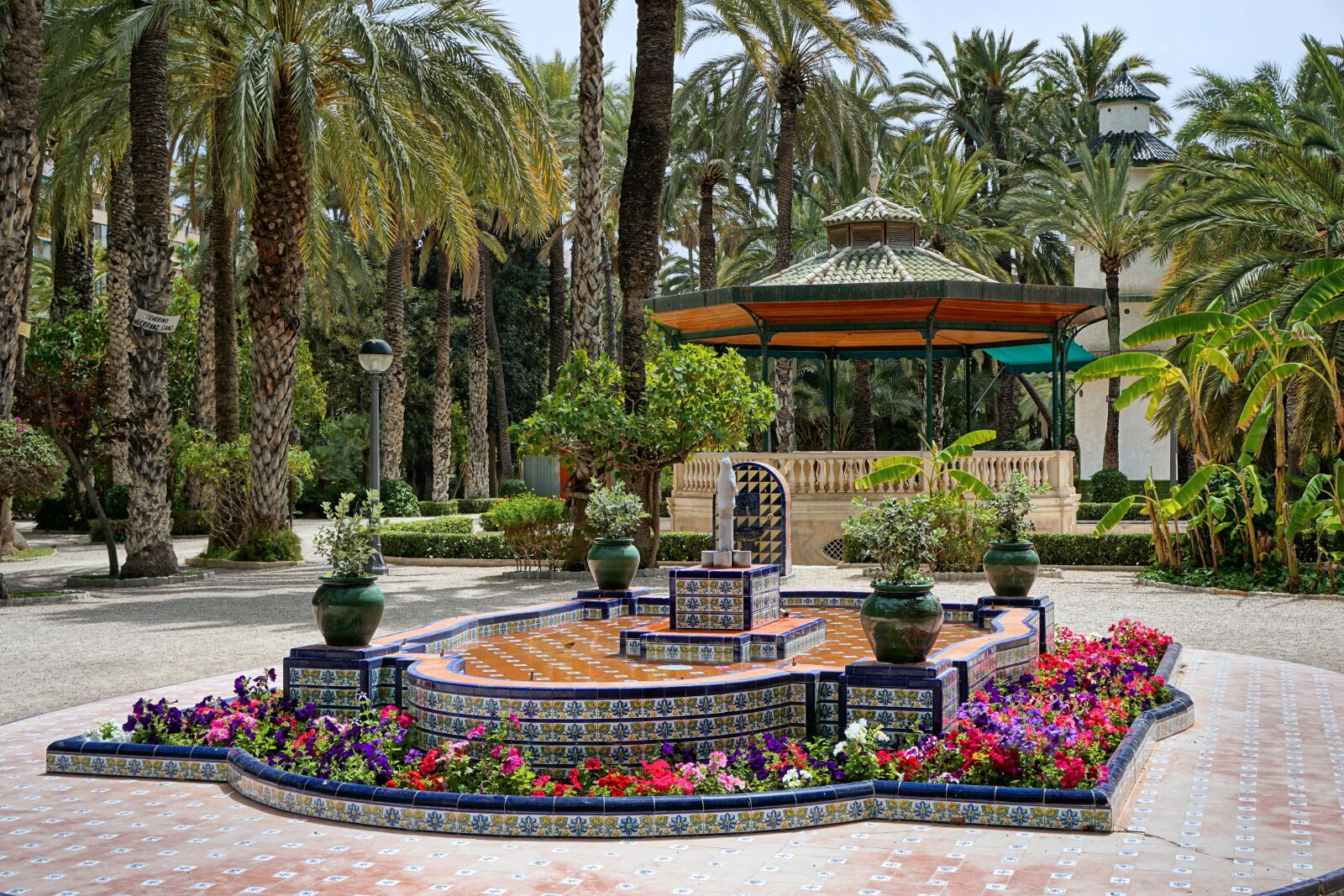 Sony a6000 + Sony E 18-55mm F3.5-5.6 OSS sample photo. Elche, spain, park photography