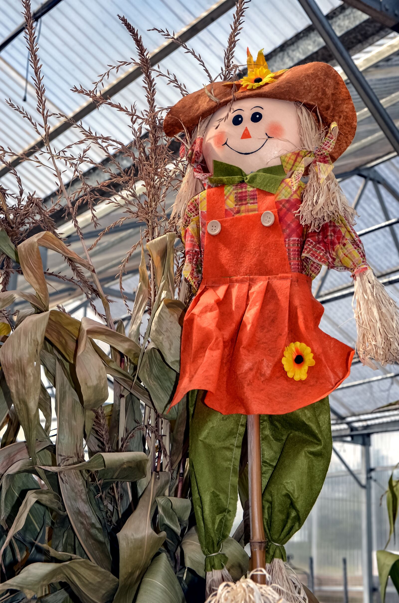 Nikon D5100 sample photo. Scarecrow, halloween, autumn photography