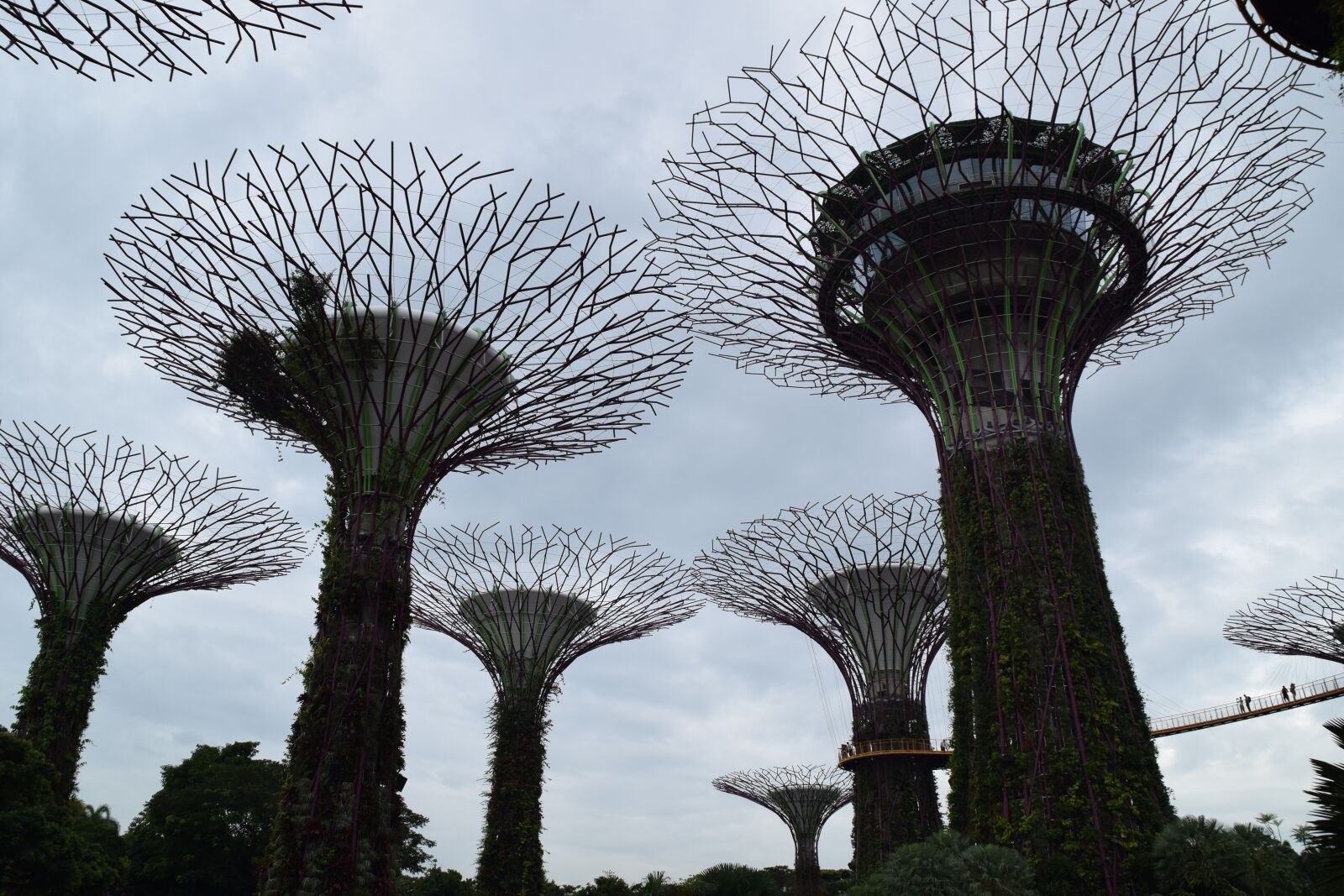 Nikon D5300 sample photo. Singapore, art, architecture photography