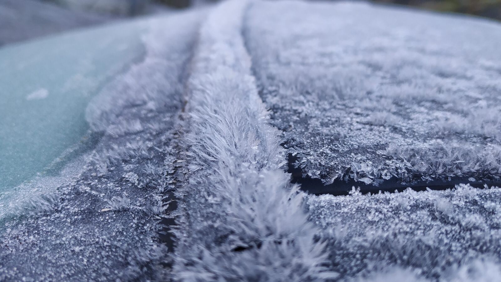 Xiaomi Mi A2 sample photo. December, ice, snow photography