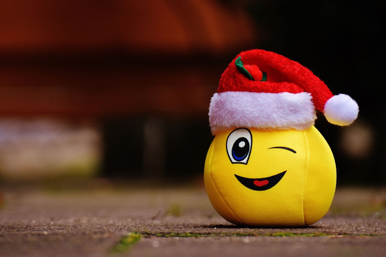 Nikon D7200 sample photo. Christmas, smiley, funny photography