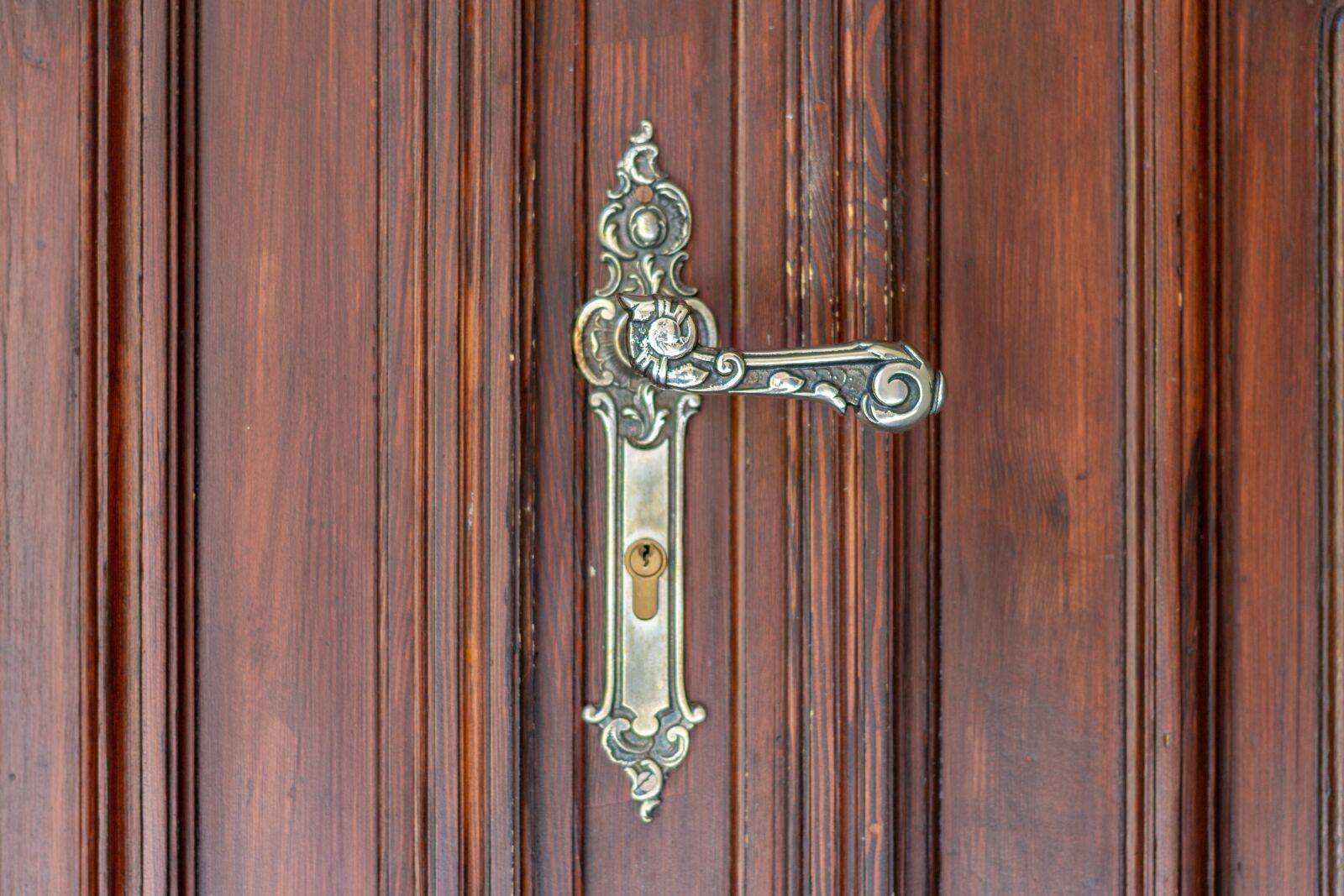 Canon EOS 100D (EOS Rebel SL1 / EOS Kiss X7) + Canon EF 40mm F2.8 STM sample photo. Door handle, castle, handle photography