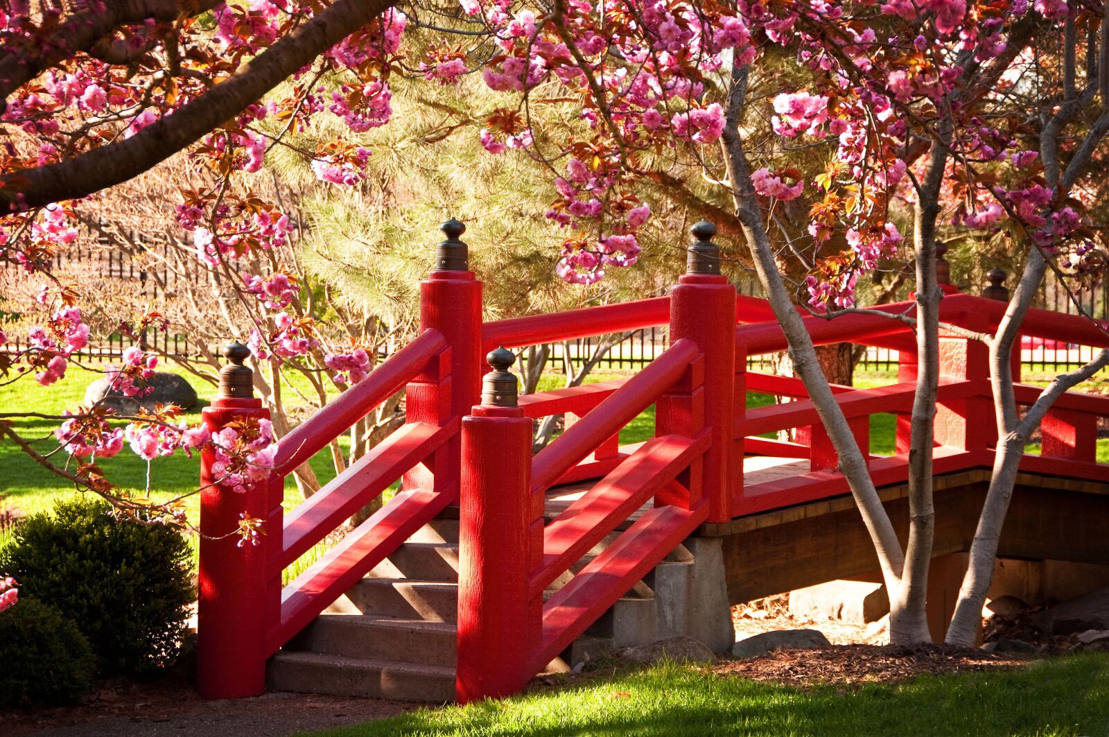 Nikon D90 sample photo. Bridge, spring, japan photography