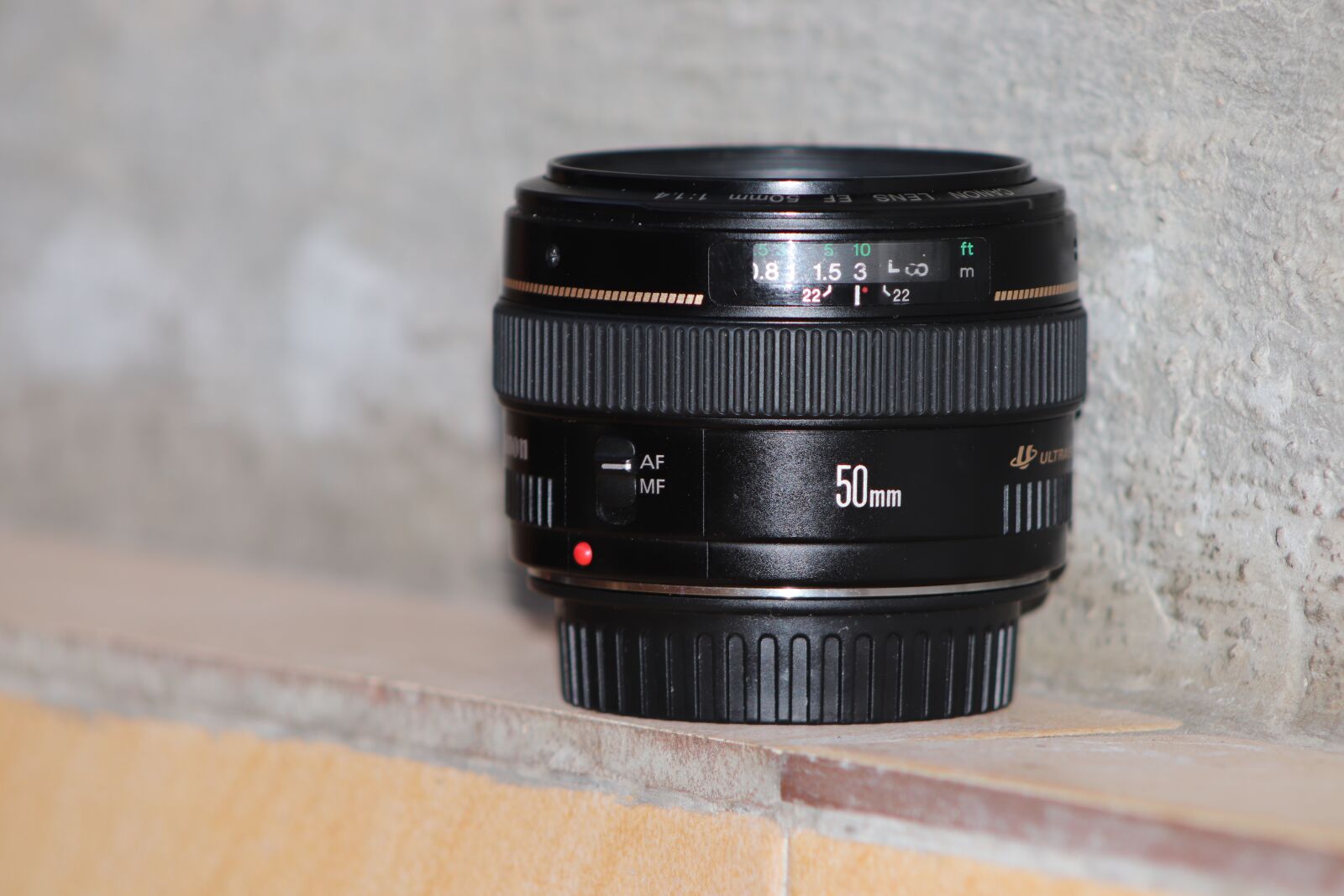 Canon EOS 800D (EOS Rebel T7i / EOS Kiss X9i) sample photo. Lens, canon, focus photography