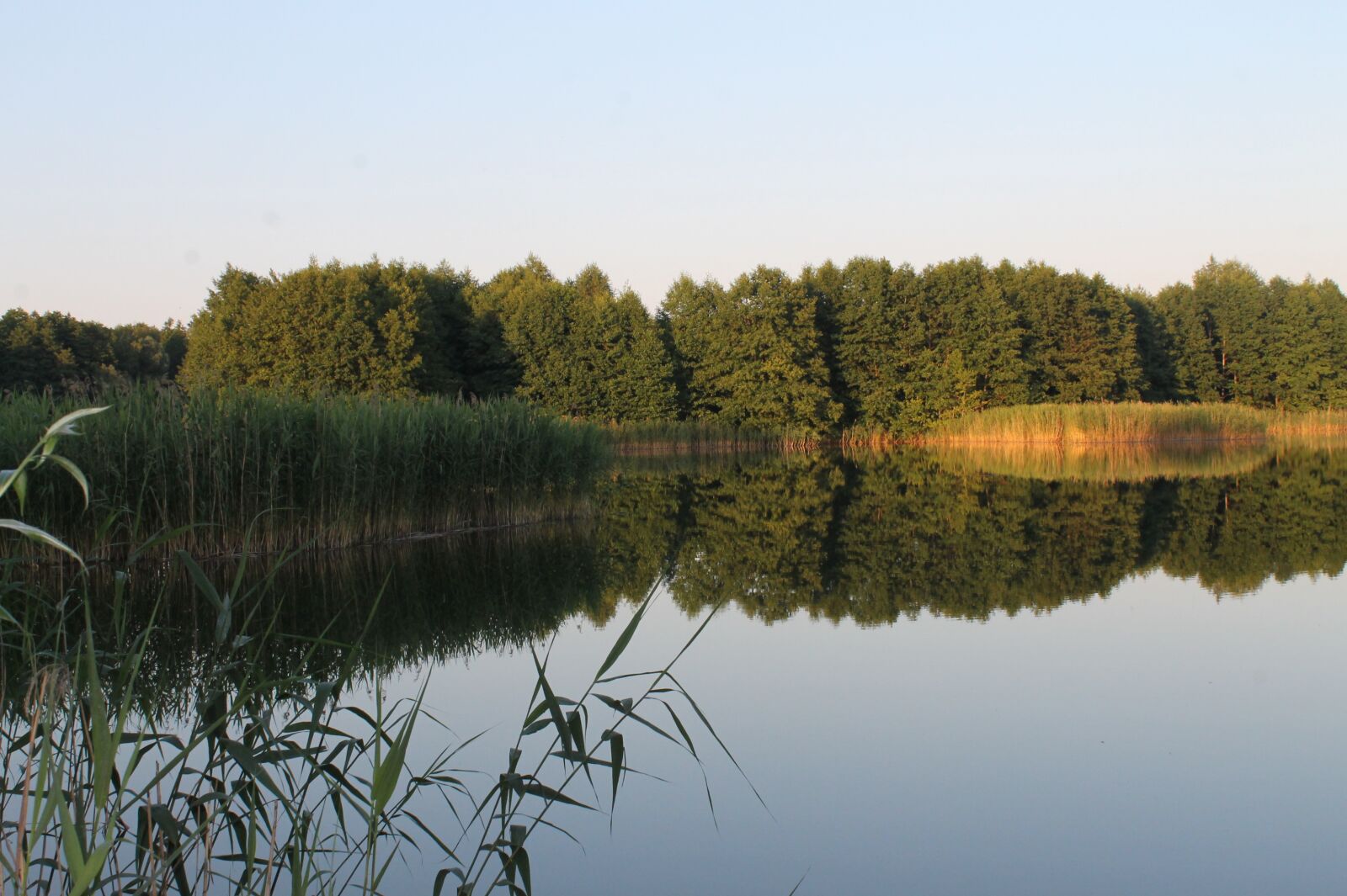 Canon EOS 1100D (EOS Rebel T3 / EOS Kiss X50) sample photo. Lake, forest, nature photography