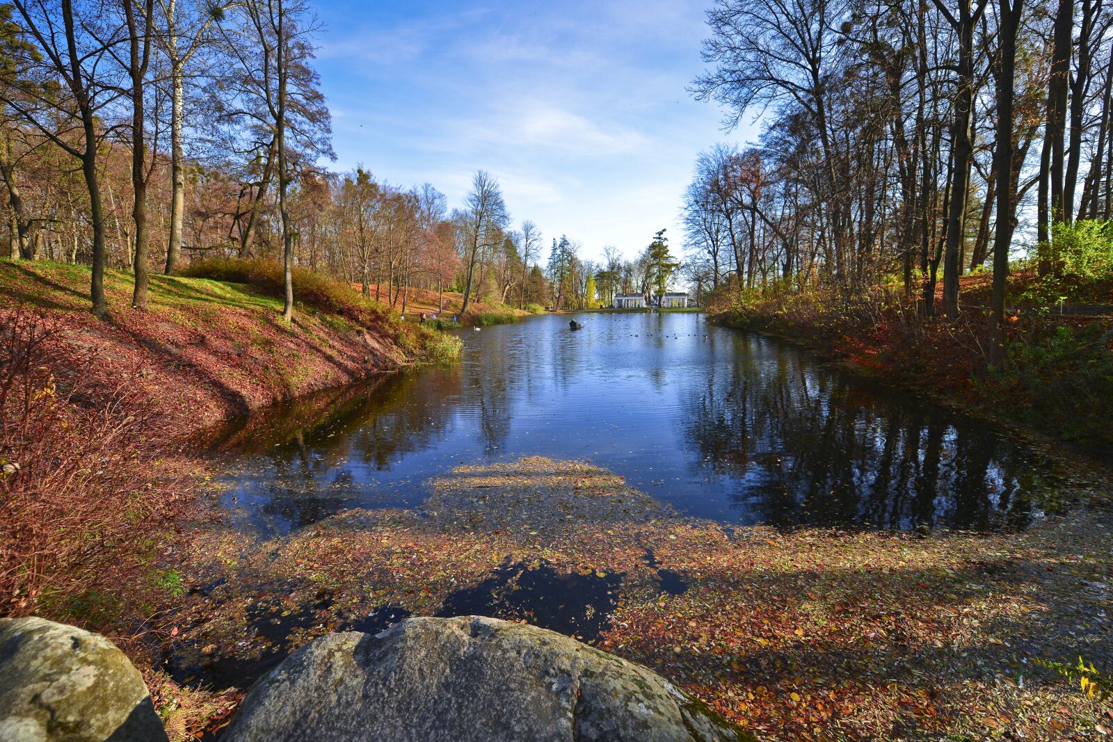 Nikon D800E sample photo. Water, nature, tree photography