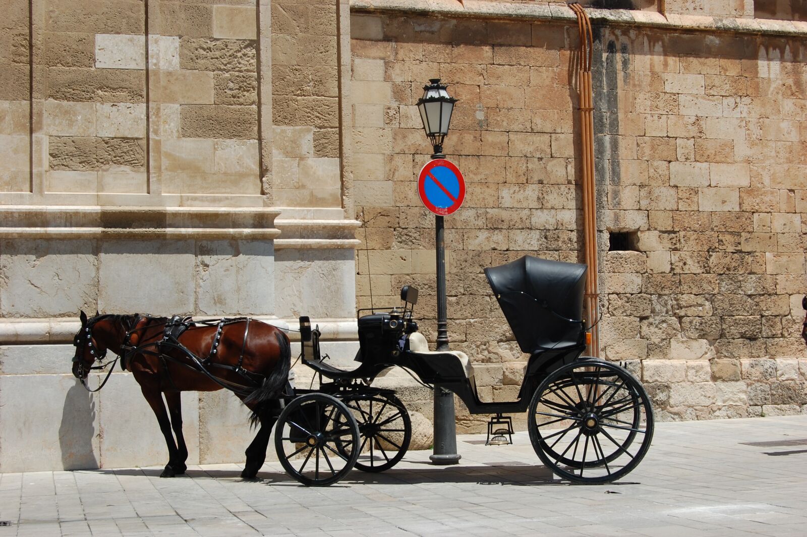 Nikon D40 sample photo. Coach, horse, horse drawn photography