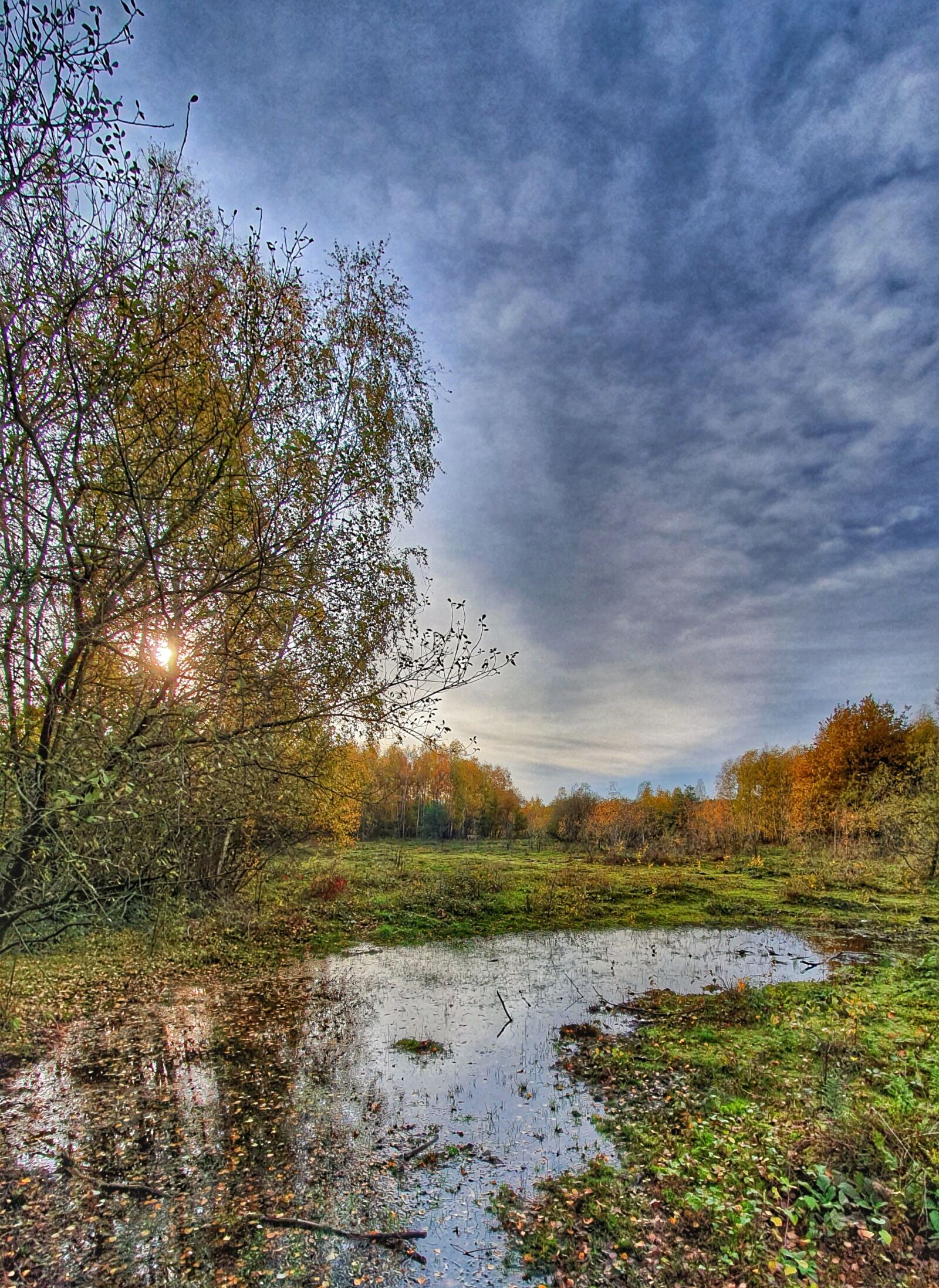 Samsung Galaxy S10+ sample photo. Landscape, autumn, horse photography