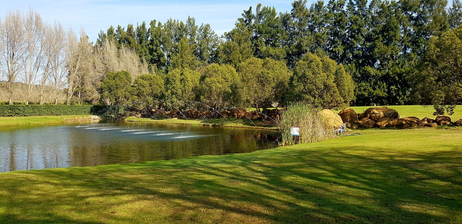 Samsung Galaxy S8+ sample photo. Waterford, wine estate, stellenbosch photography