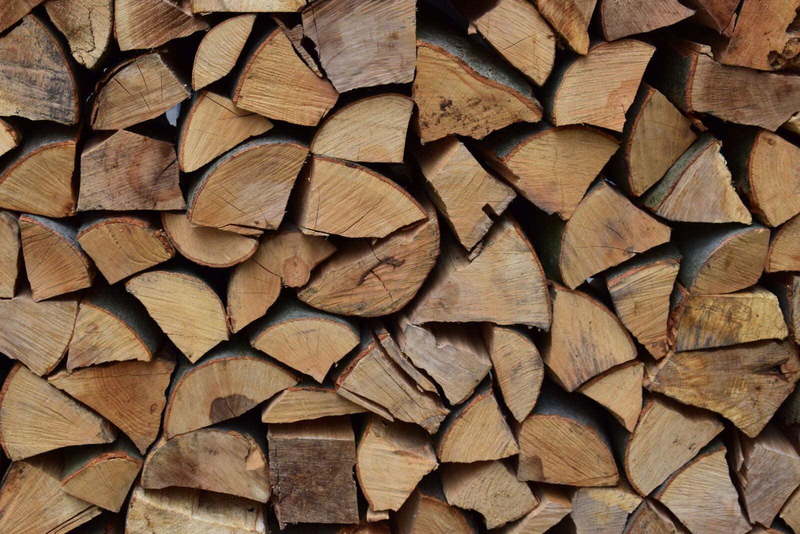 Nikon D3300 sample photo. Firewood, view, journey photography