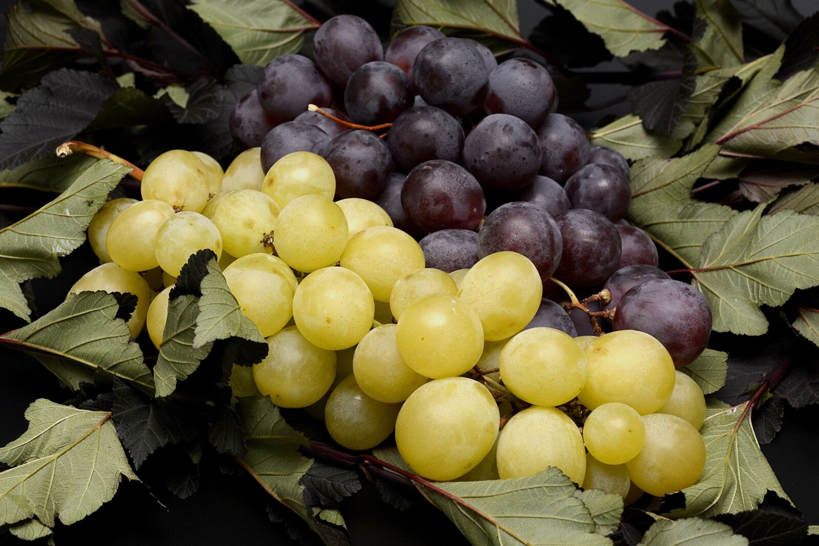 Nikon D7100 sample photo. Grapes, fruits, fruit photography