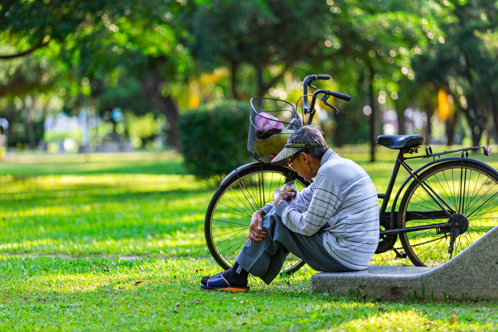 Canon EOS 6D sample photo. Grass, summer, park photography