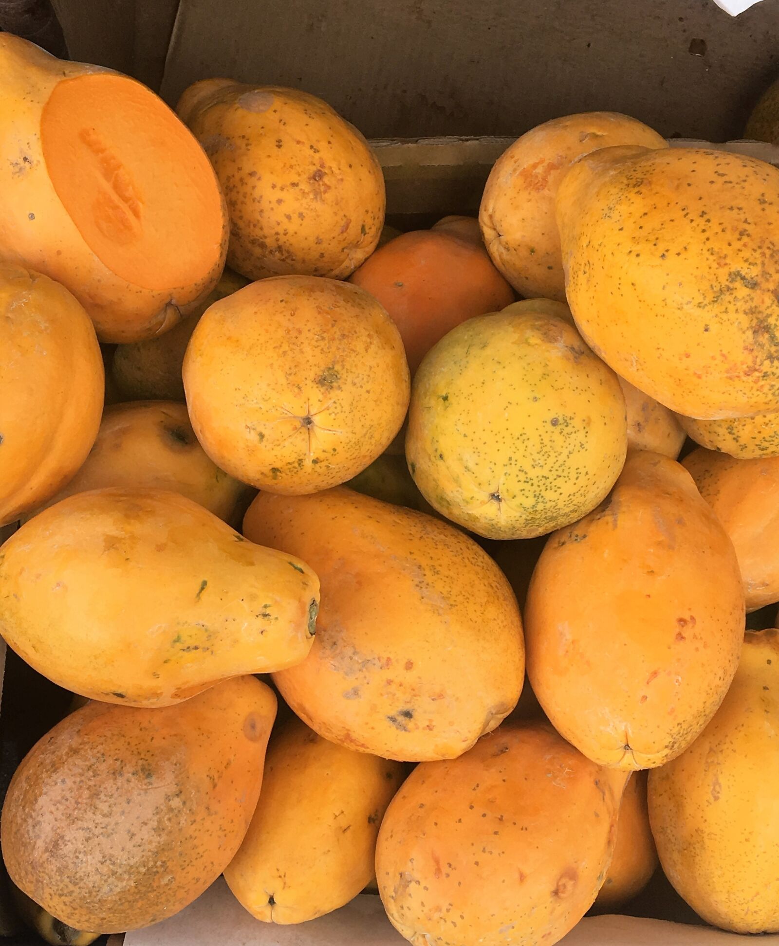 Apple iPhone 6s sample photo. Hawaii, hawaiian, papaya photography