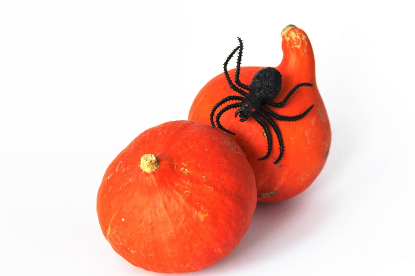 Canon EOS 1200D (EOS Rebel T5 / EOS Kiss X70 / EOS Hi) sample photo. Halloween, pumpkin, autumn photography