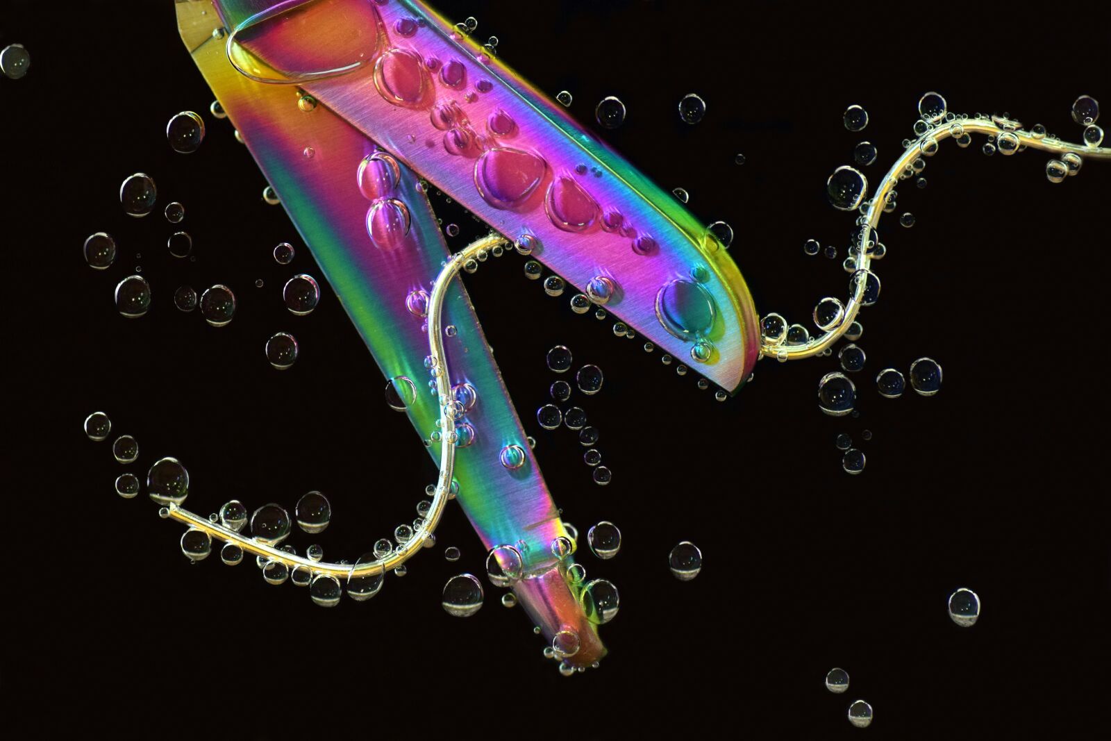Nikon D3300 sample photo. Scissors, cut, metal photography