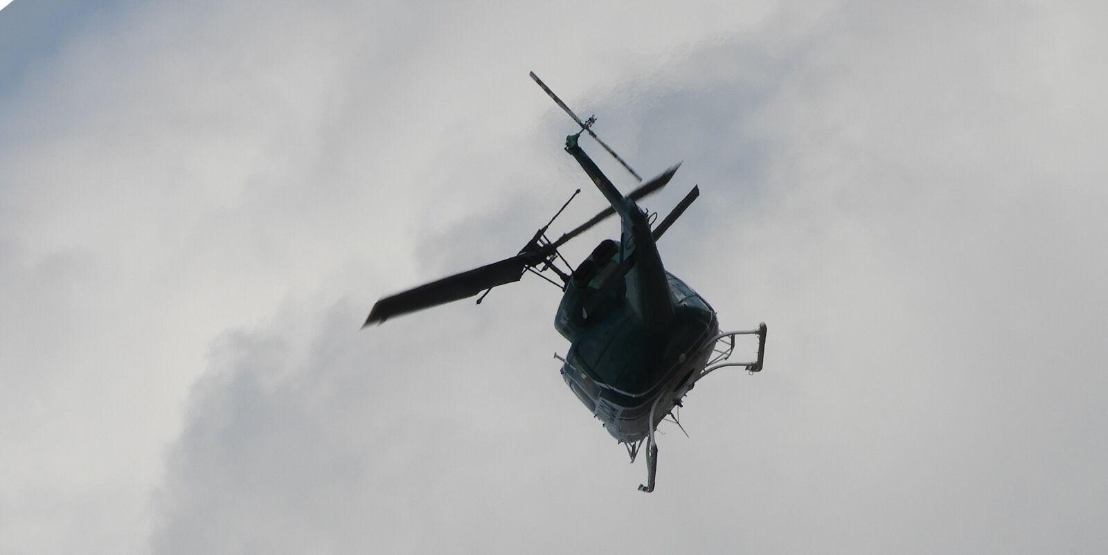 Nikon Coolpix B700 sample photo. Plane, branch of the photography