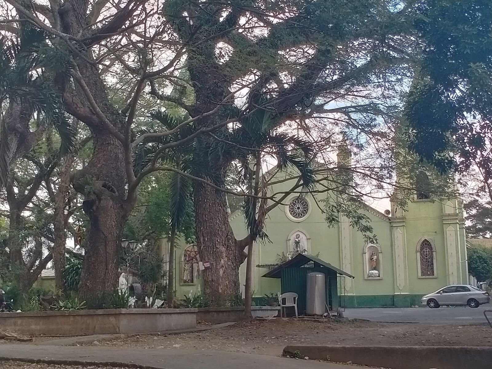 OPPO A5 2020 sample photo. Old trees, church, tree photography