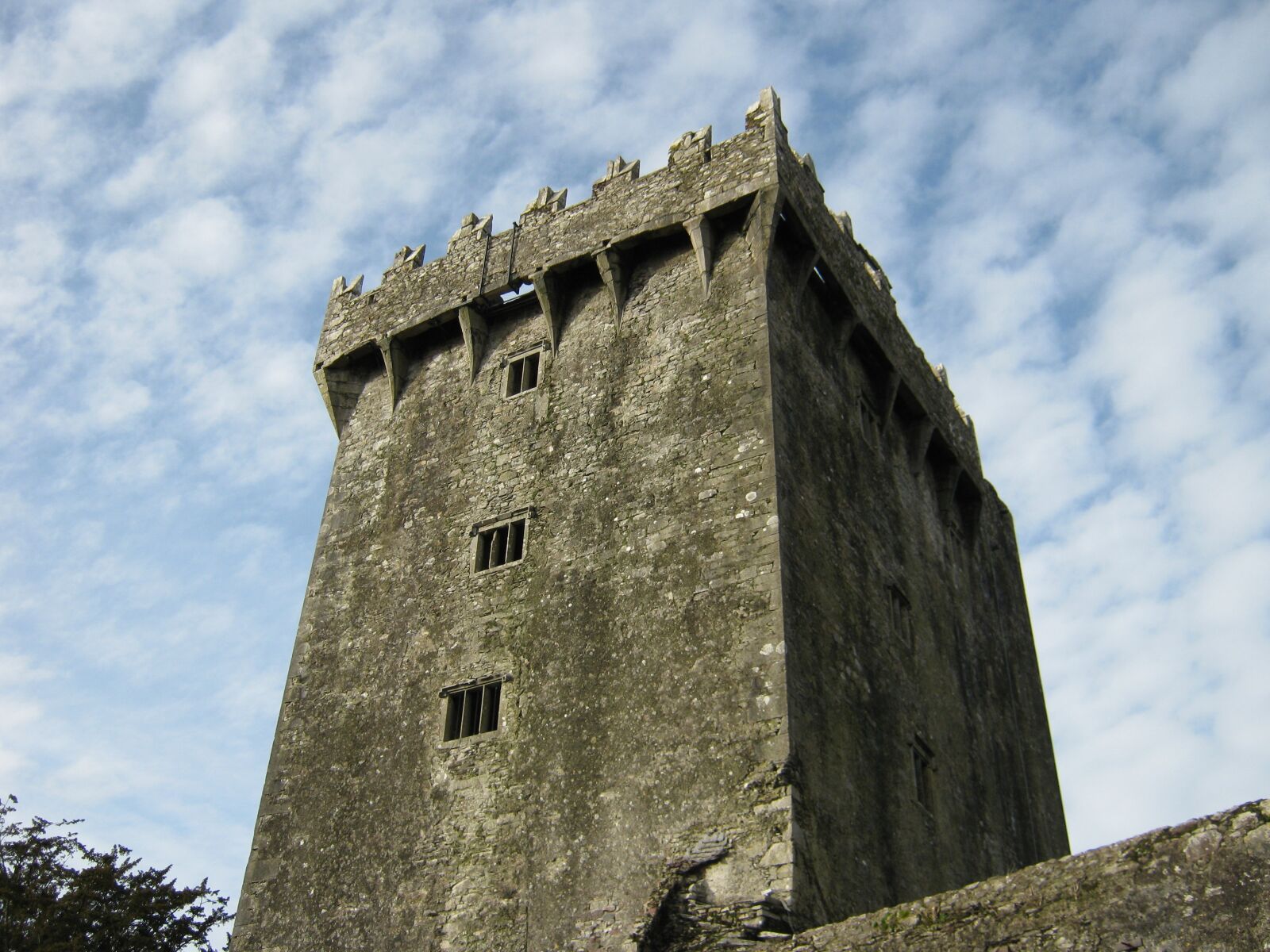 Canon PowerShot A480 sample photo. Keep, castle, architecture photography
