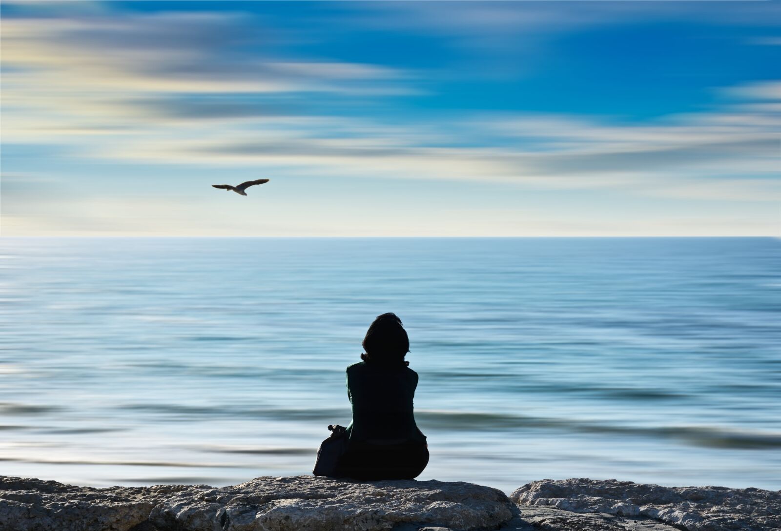 Nikon D7100 sample photo. Beach, bird, nature photography