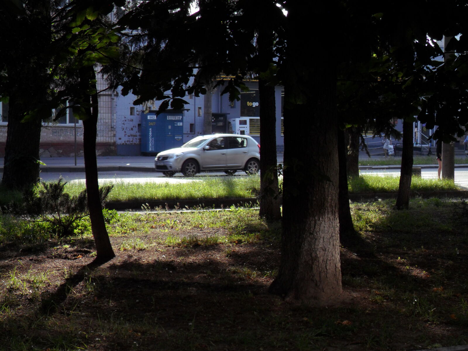Samsung PL20,PL21 / VLUU PL20,PL21 sample photo