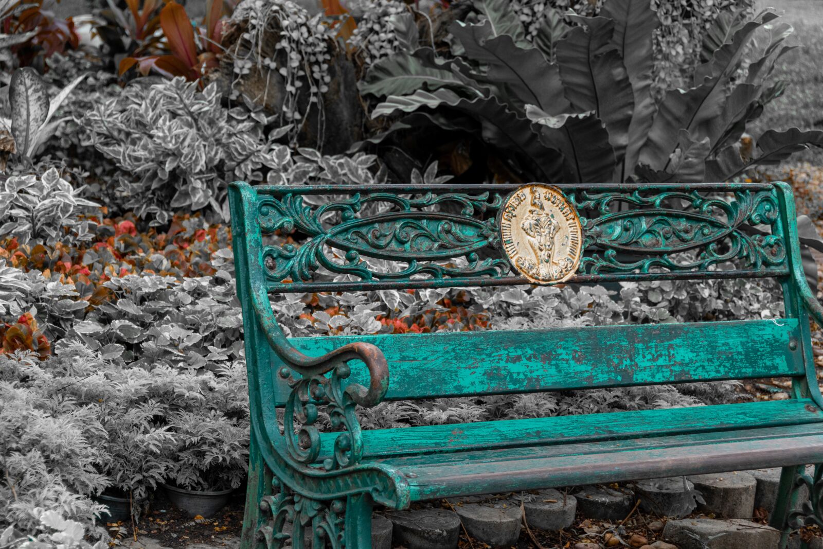 Nikon D5600 sample photo. Bench, park, autumn photography