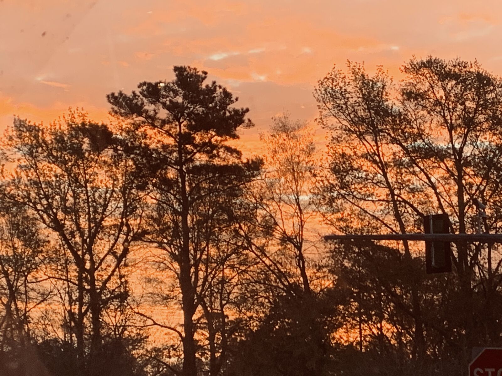 Apple iPhone XR sample photo. Sky, trees, dawn photography