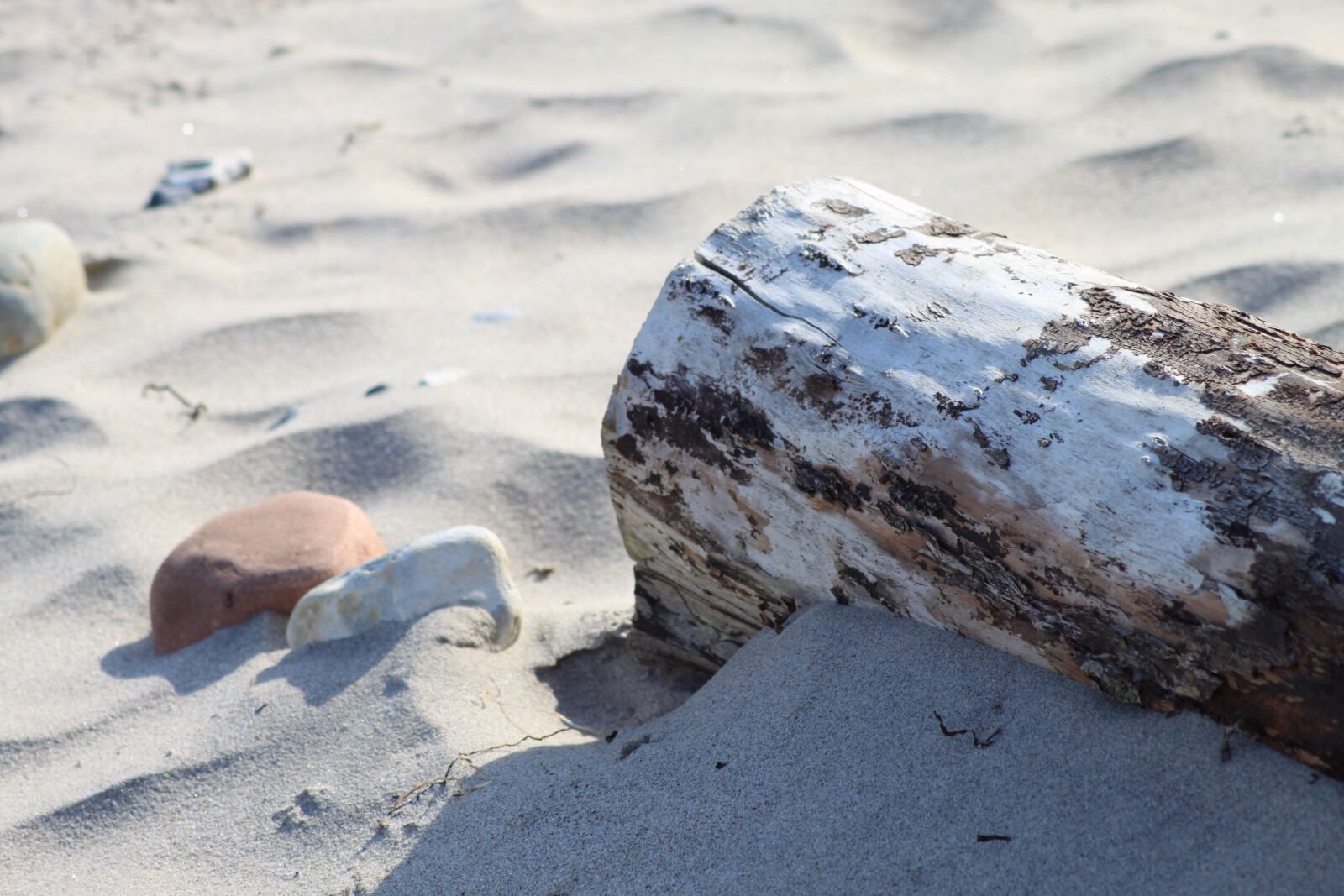 Canon EOS 500D (EOS Rebel T1i / EOS Kiss X3) sample photo. Wood, tribe, beach photography