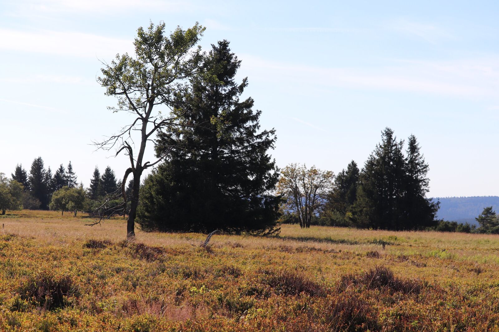 Canon EF-S 55-250mm F4-5.6 IS STM sample photo. Mountain, nature, crown photography