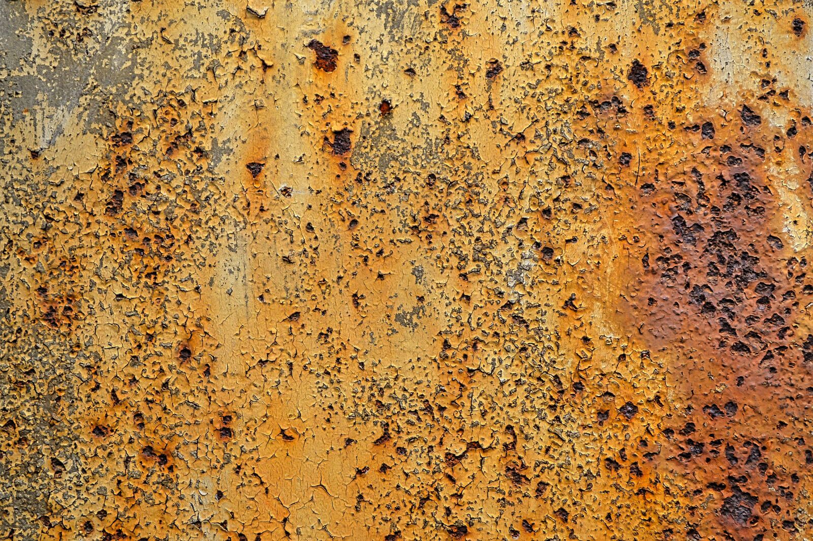 Nikon D3200 sample photo. Texture, metal, rust photography