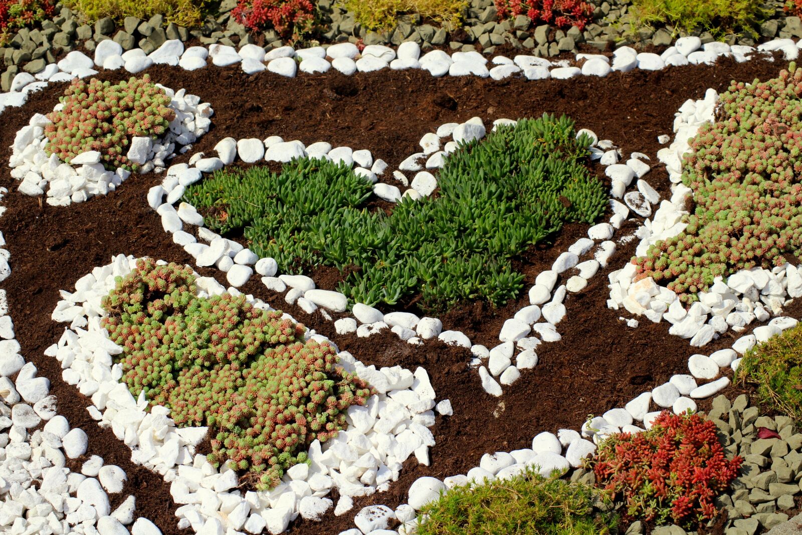 Canon EOS 1200D (EOS Rebel T5 / EOS Kiss X70 / EOS Hi) sample photo. Plants, rockery, composition photography