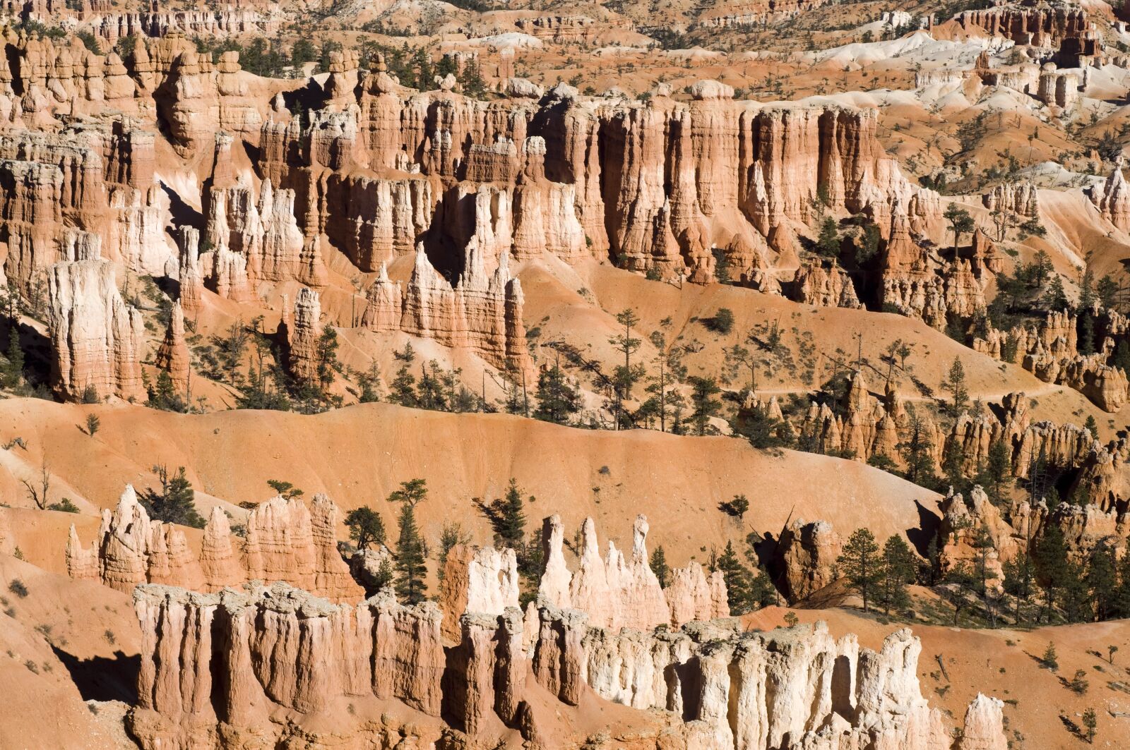 Nikon D90 sample photo. Bryce canyon, landscapes, national photography