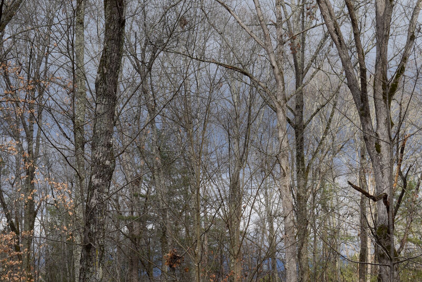 Nikon D3300 sample photo. Dark storm clouds through photography