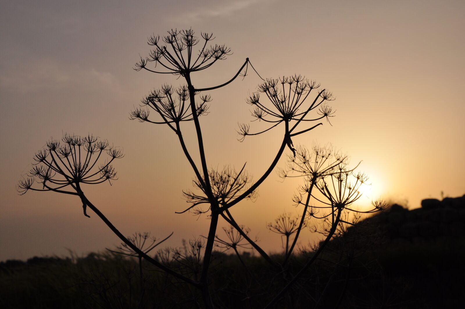 Nikon D90 sample photo. Romance, abendstimmung, evening sky photography