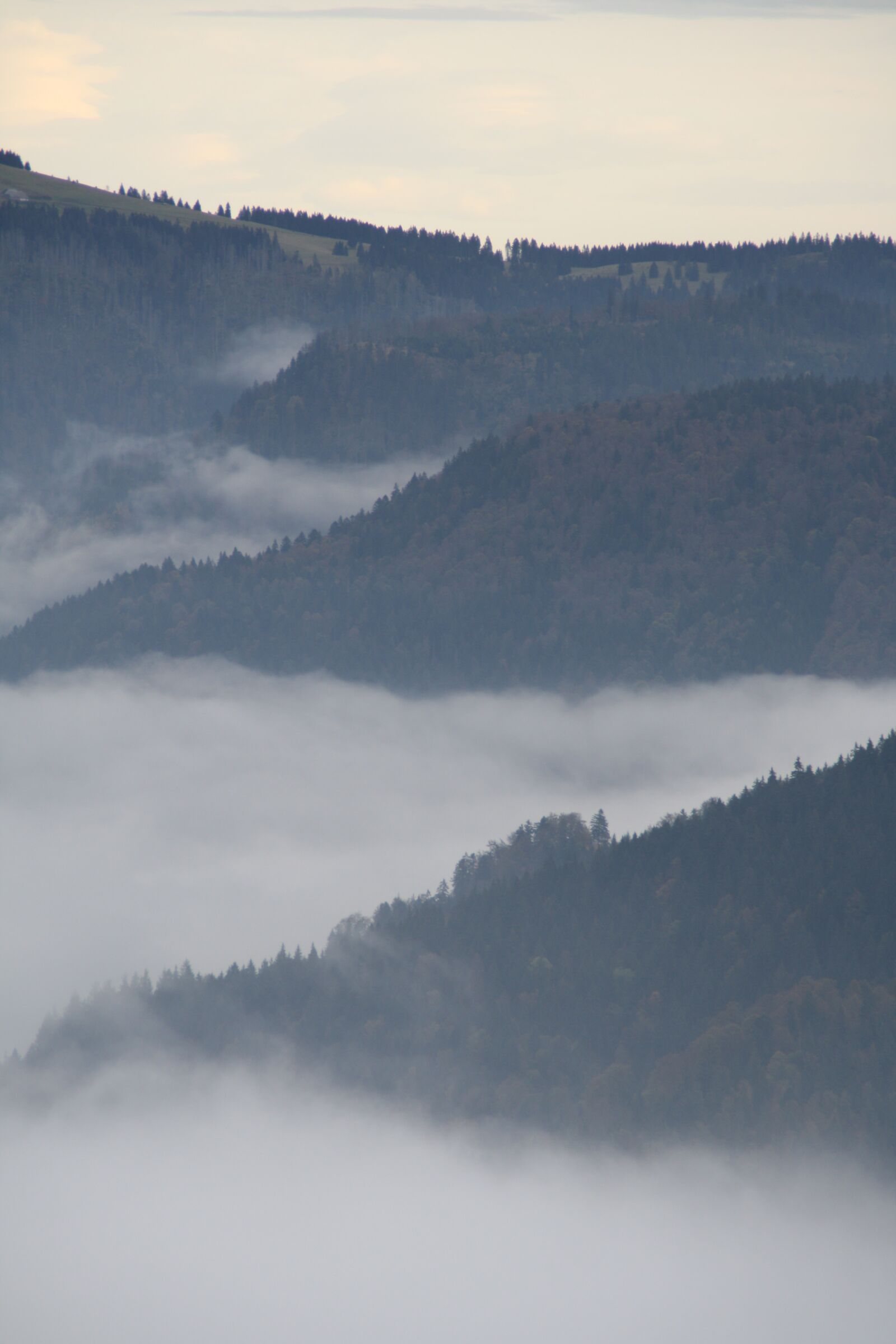 Canon EOS 1000D (EOS Digital Rebel XS / EOS Kiss F) sample photo. Fog, landscape, black-forest photography