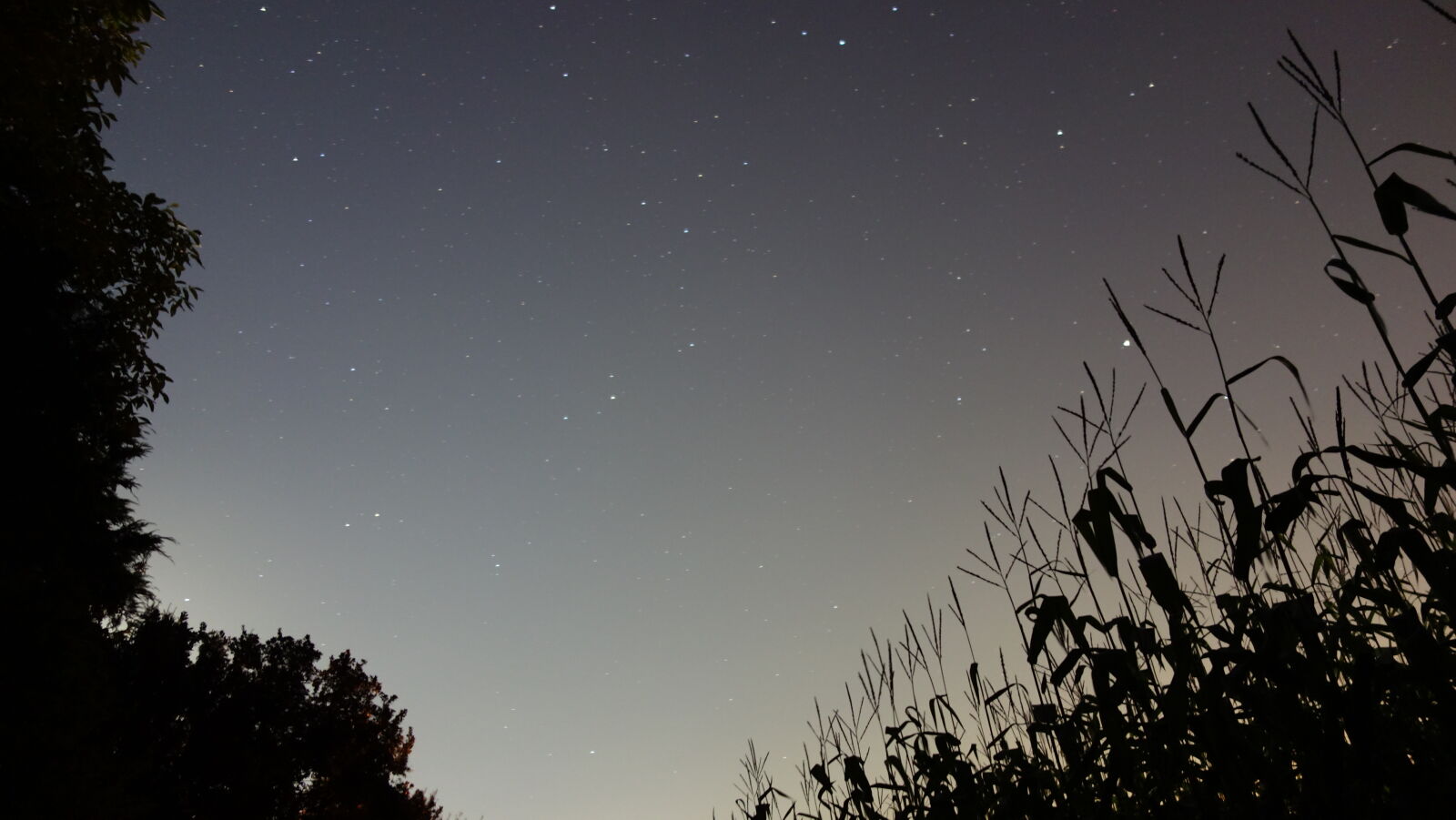 Sony Cyber-shot DSC-RX100 sample photo. Fields, germany, sky, stars photography