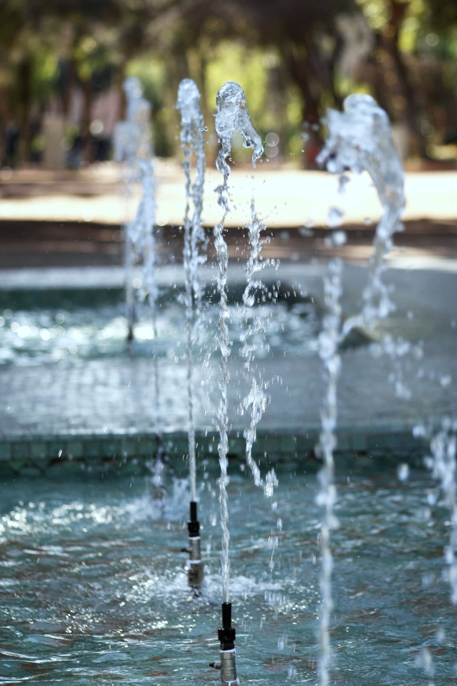 Canon EOS 1000D (EOS Digital Rebel XS / EOS Kiss F) sample photo. Park, fountain, marrakech photography