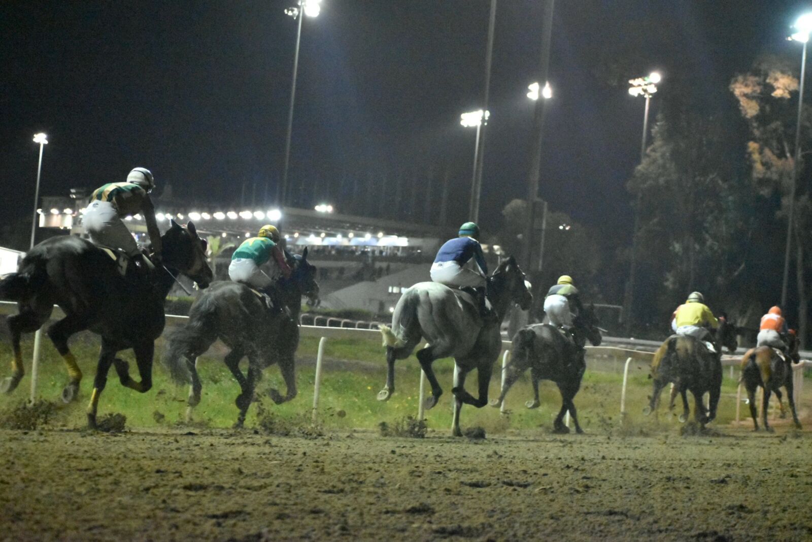 Nikon D5600 sample photo