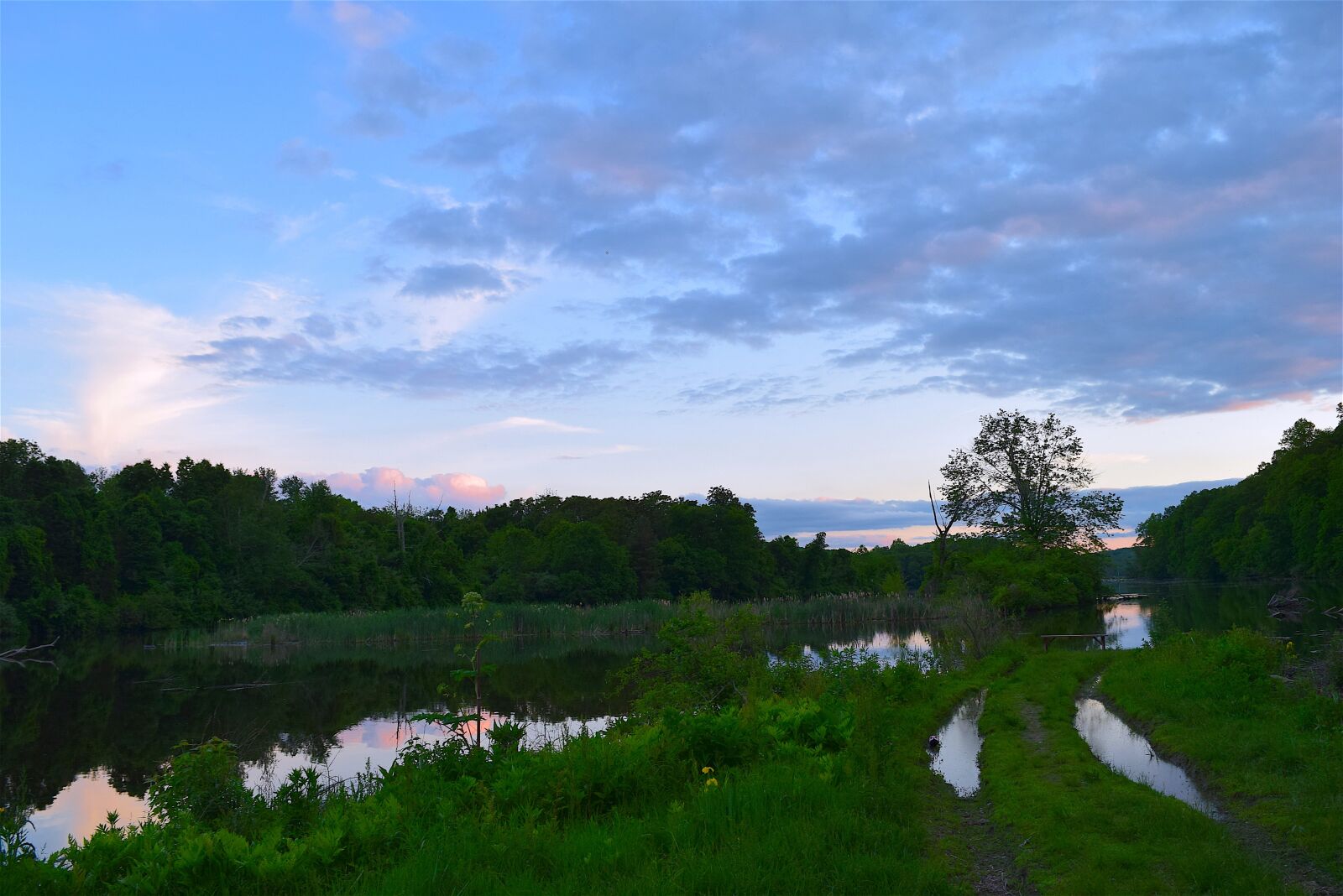Nikon D3300 sample photo. Tree, lake, sunset photography