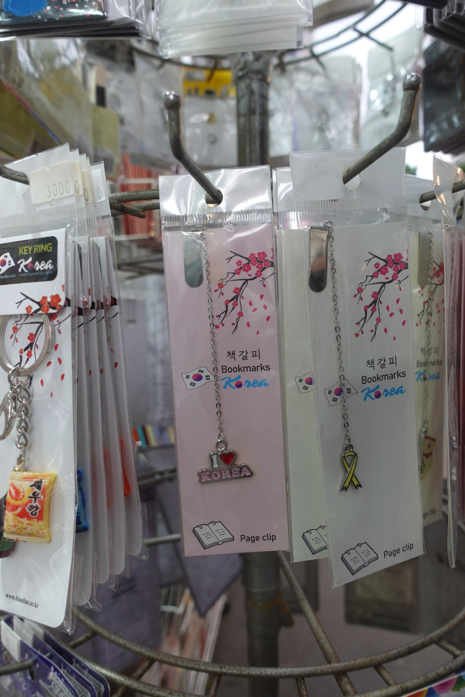 Sony ZV-1 sample photo