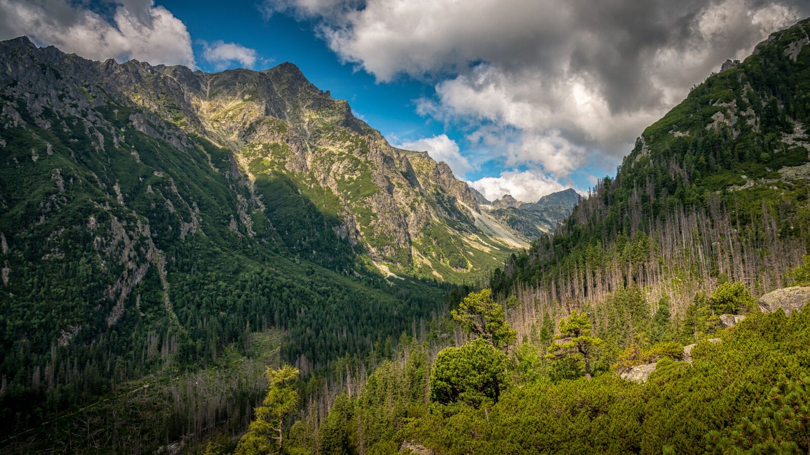 Canon EOS 70D sample photo. Vysoké tatry, tatry, nature photography