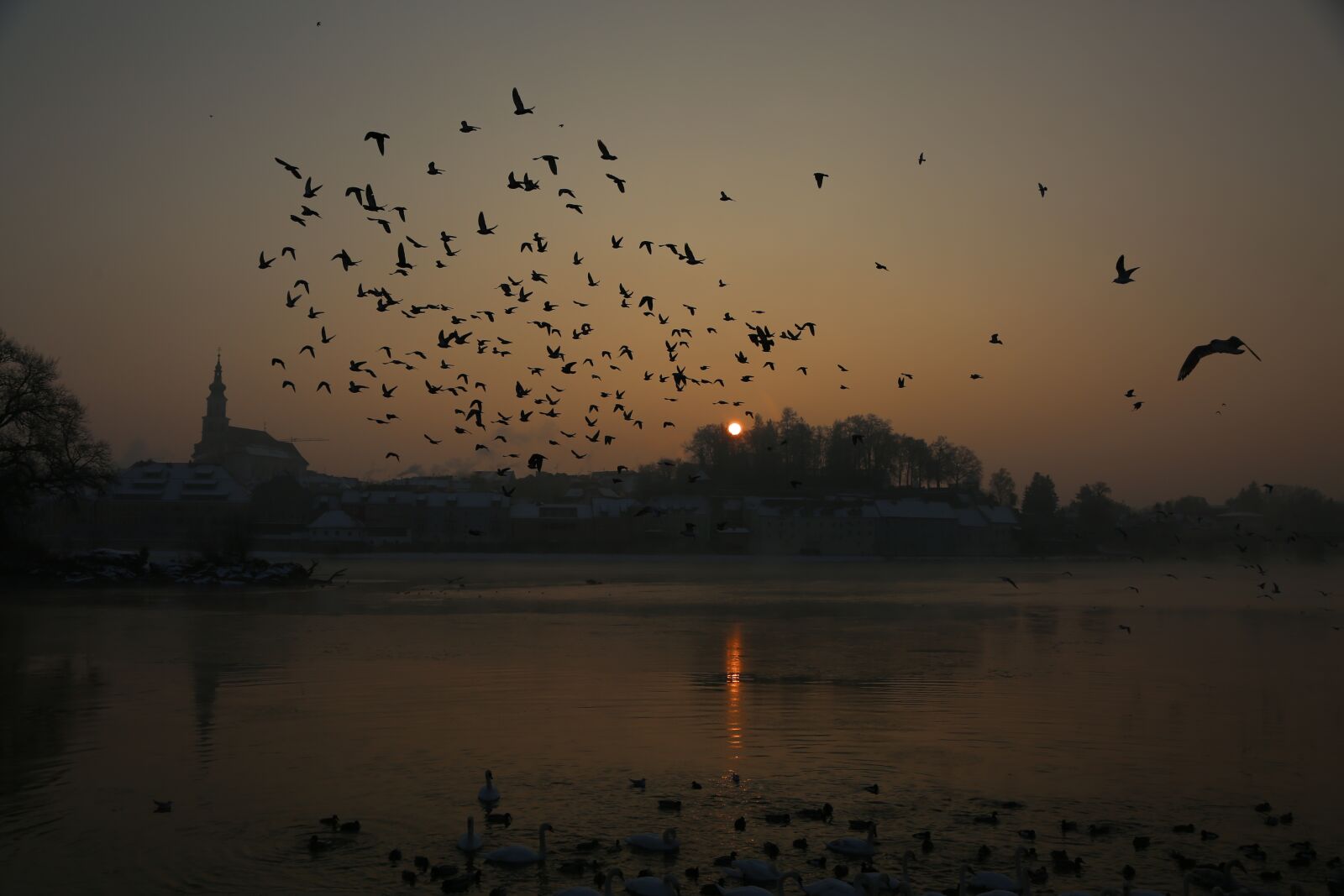 Canon EF 24-105mm F4L IS USM sample photo. Morning birds, light, water photography