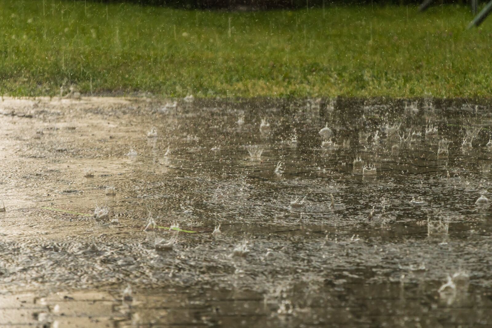 Canon EOS 70D sample photo. Rain, weather, raindrop photography