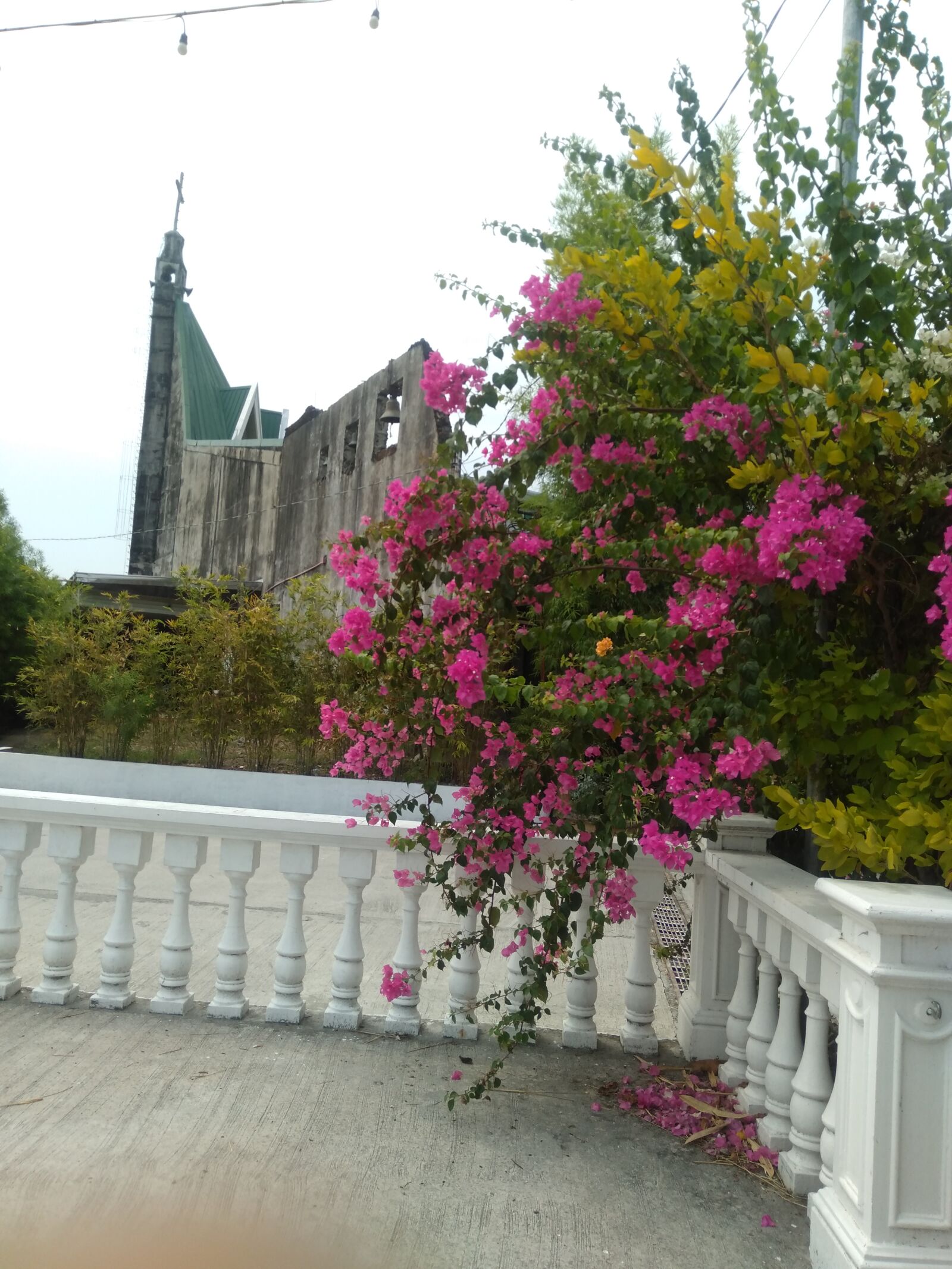 OPPO A3S sample photo
