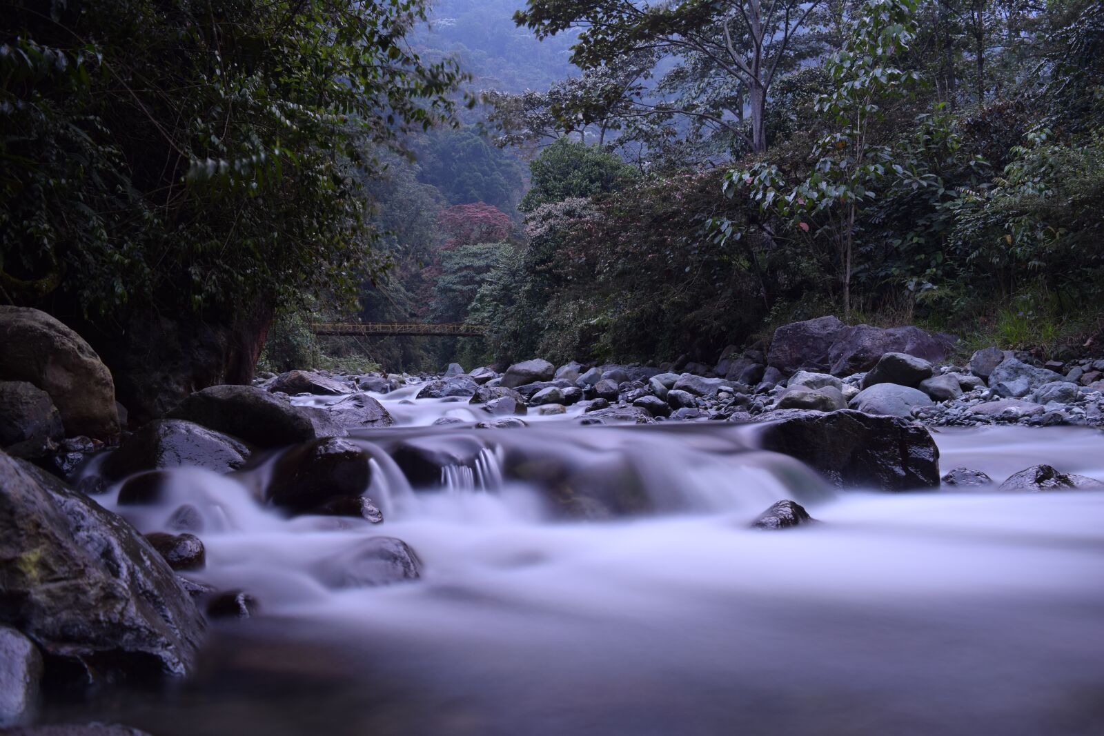 Nikon D5300 sample photo. River, cali, colombia photography