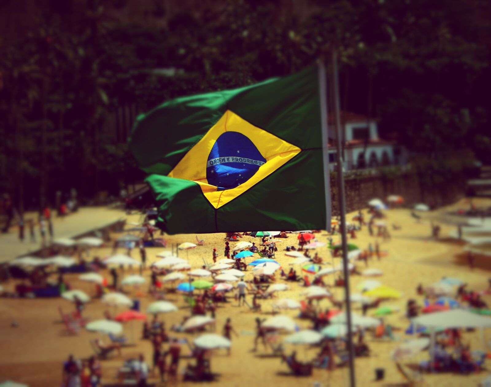 Nikon Coolpix L820 sample photo. Brazil, flag, nature photography